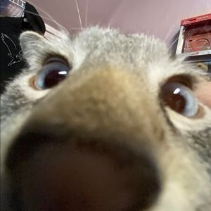 Meet your Posher, Kalee